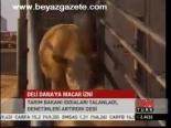 Deli Dana'ya Macar İzni