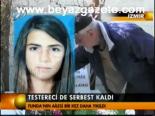 Testereci De Serbest