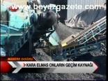Kara Elmas Onların Geçim Kaynağı
