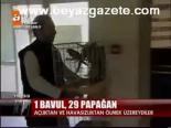 1 Bavul, 29 Papağan