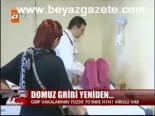 Domuz Gribi Yeniden...