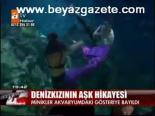 Denizkızının Aşk Hikayesi