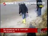 Bu Adamlar Ne İş Yapıyor?
