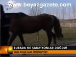 Burada Ne Şampiyonlar Doğdu!