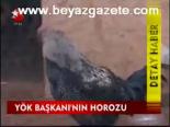 Yök Başkanı'nın Horozu