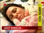 Umut Bebekler