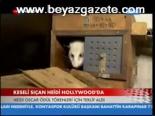 Keseli Sıçan Heidi Hollywood'da