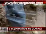 Efe'yi Kim Yetiştirecek?