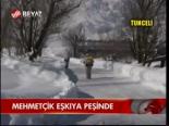 Mehmetçik Eşkıya Peşinde
