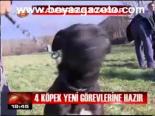 Kanseri Bulacaklar
