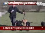 Kanseri Teşhis Edecekler