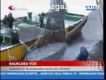 Balıklara Vize