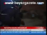 Hayatta Kalma Mücadelesi