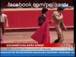 Kolombiya'da Boğa Güreşi