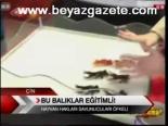 Bu Balıklar Eğitimli!