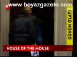 House Of The Mouse