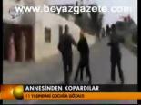 Annesinden Kopardılar