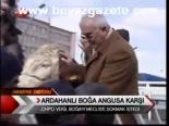 Ardahanlı Boğa Angusa Karşı