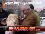 Meclis'te Dana'lı Eylem