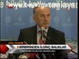Birbirinden İlginç Balıklar