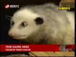 Yeni Kahin Heidi