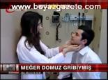 Keçi Gribi Dedik