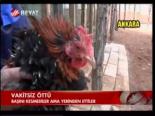 Vakitsiz Öttü