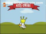 Bizimcity: Hastalığın Kralı