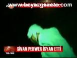 Şivan Perwer İsyan Etti