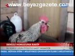 Denizli Horozuna Rakip
