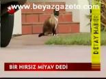 Bir Hırsız Miyav Dedi