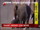 İzmir'i Herkes Çok Sevdi