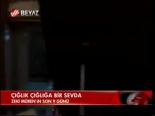 Çığlık Çığlığa Bir Sevda