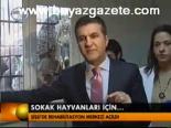 Sokak Hayvanları İçin