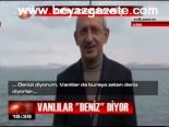 Göl Denizmiş