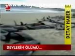 Devlerin Ölümü...