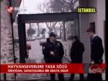 Hayvanseverlere Yasa Sözü