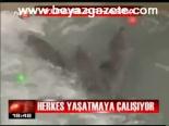 Herkes Yaşatmaya Çalışıyor
