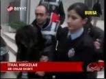 İthal Hırsızlar
