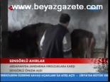 Sensörlü Ahırlar