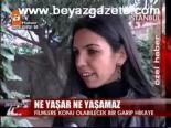 Ne Yaşar Ne Yaşamaz