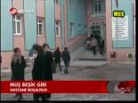 Muş Beşik Gibi
