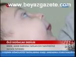 Ölü Doğacak Dediler