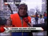 Ekmek Aslanın Ağzında