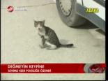 Değmeyin Keyfine