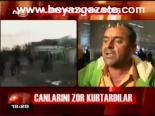 Canlarını Zor Kurtardılar
