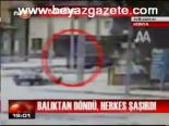 Balıktan Döndü, Herkes Şaşırdı