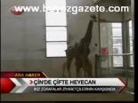 Çin'de Çifte Heyecan