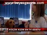 Diyabeti Koklayan Köpek
