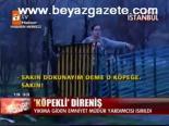 Köpekli Direniş